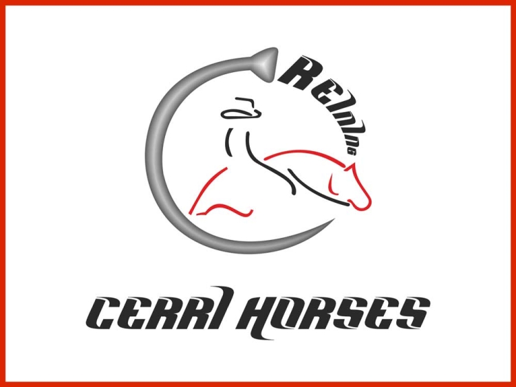 Cerri Reining Horses