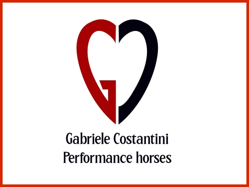Gabriele Costantini performance horses