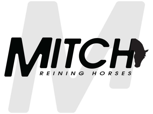 Mitch Reining Horses