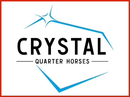 Crystal Quarter Horses
