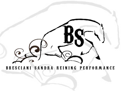 BS Bresciani Sandra Reining Performance