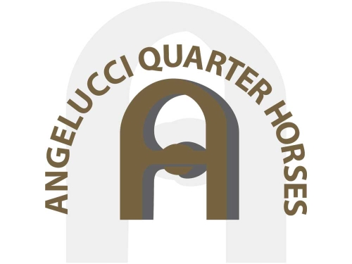 Angelucci Quarter Horses