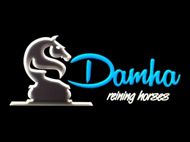 Damha Horses Asd