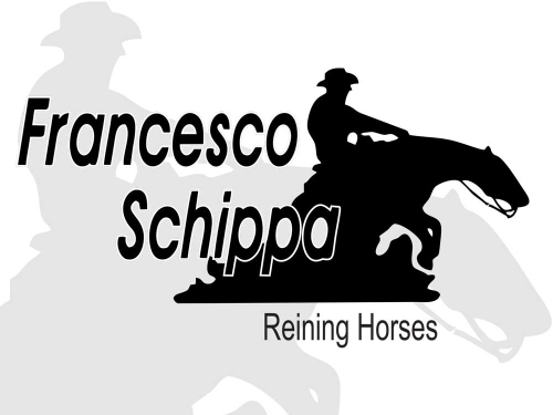 Francesco Schippa Reining Horses