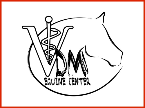 VDM Equine Center