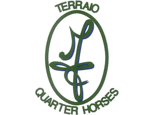 Terraio Quarter Horses