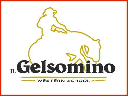 Il Gelsomino Western School