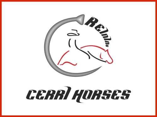 Cerri Reining Horses