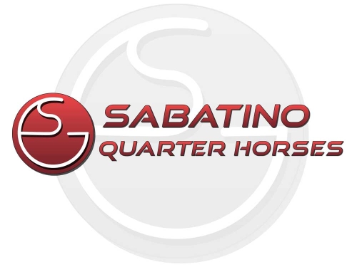 Sabatino Quarter Horses