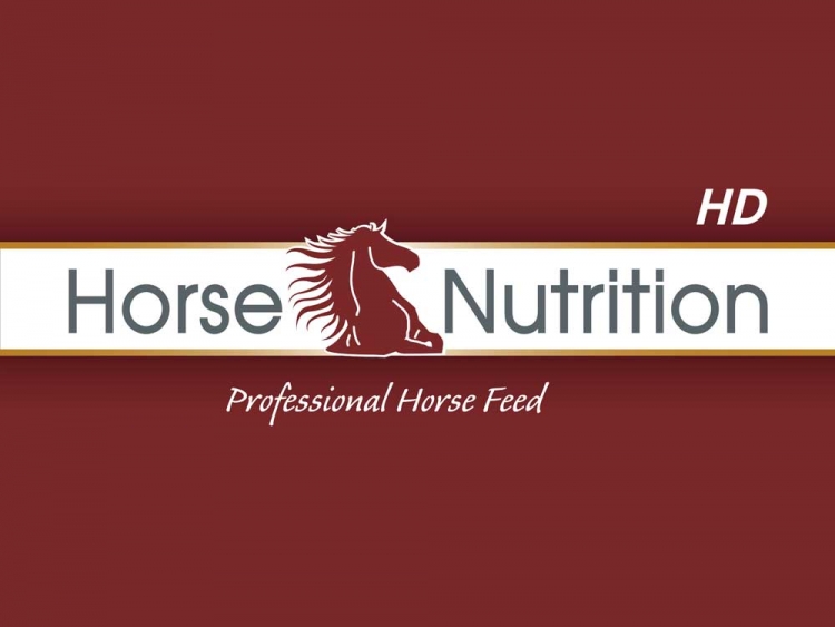 Horse Nutrition