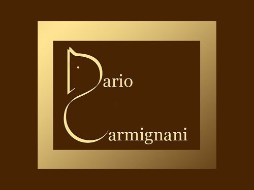 Carmignani Reiners - Centro Equestre Cassia