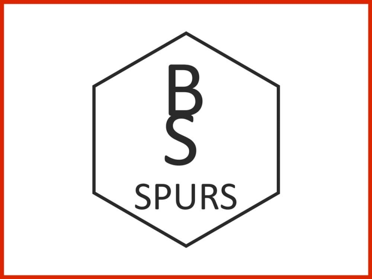 BS Spurs